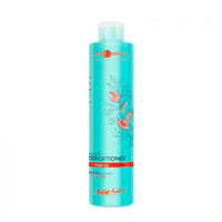 Hair Company Light Bio Conditioner Argan - Бальзам с био маслом Арганы 250 мл