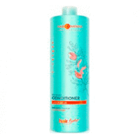 Hair Company Light Bio Conditioner Argan - Бальзам с био маслом Арганы 1000 мл