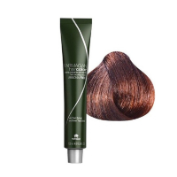 Farmagan Hair Color Ammonia Free - Безаммиачная краска для волос 6/84 шоколадный орех 100 мл