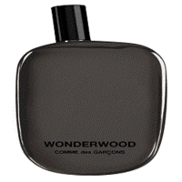 Comme des Garcons Wonderwood Eau de Parfum - Коме де гарсон чудесный лес парфюмированная вода 50 мл