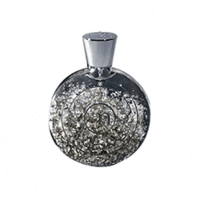 Ramon Molvizar Art Silver Мen Eau de Parfum - Рамон Молвизар арт серебро парфюмерная вода 75 мл