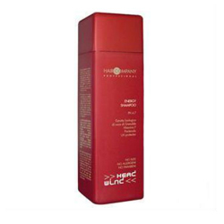 Hair Company Head Wind Energy Shampoo - Энергетический шампунь 250 мл