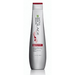 Matrix Biolage Repairinside Shampoo - Шампунь для сильно поврежденных и ломких волос 250 мл 