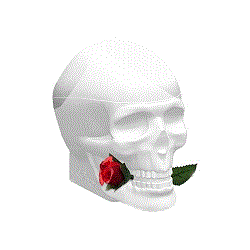 Christian Audigier Ed Hardy Skulls and Roses for Her Women Eau de Toilette - Кристиан Одижье эд харди черепа и розы для нее туалетная вода 100 мл