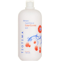 Teotema Color Control Shampoo - Шампунь для окрашенных волос 1000 мл            