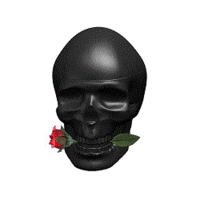 Christian Audigier Ed Hardy Skulls and Roses for Him Men Eau de Toilette - Кристиан Одижье эд харди черепа и розы для него туалетная вода 100 мл