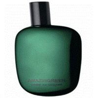 Comme Des Garcons Amazingreen Eau de Parfum - Комм де гарсон удивительный зеленый парфюмированная вода 100 мл (тестер)