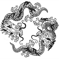 Temptu Pro Transfer Asian Double Dragon - Трансферная татуировка 