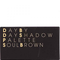 Secret Key Eye Day By Day Shadow Palette Soul Brown - Палета теней для век 