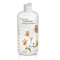 Teotema Sebum Specific Purifying Shampoo - Шампунь для жирных волос 250 мл            