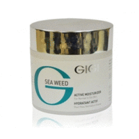 GIGI Cosmetic Labs Sea Weed Active Moisturizer - Крем увлажняющий активный 250 мл