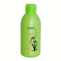 Kapous Professional Shampoo - Шампунь против перхоти 250 мл
