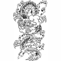 Temptu Pro Transfer Asian Dragon Waves - Трансферная татуировка 