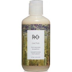 R+Co Cactus Texturizing Shampoo - Текстурирующий шампунь "кактус" 177 мл