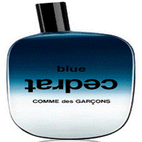 Comme Des Garcons Blue Cedrat Eau de Parfum - Комм де гарсон синий цедрат парфюмированная вода 100 мл