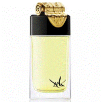 Salvador Dali Haute Parfumerie Fluidite Du Temps Imaginaire Eau de Parfum - Сальвадор Дали текучесть воображаемого времени парфюмированная вода 100 мл