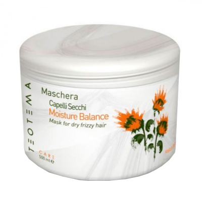 Teotema Moisture Balance Mask - Маска увлажняющая для волос 500 мл            
