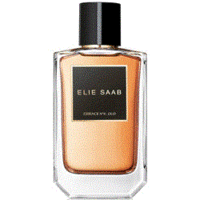 Elie Saab Essence No. 4 Oud Eau de Parfum - Эли Сааб эссенсия №4 уд парфюмированная вода 100 мл (тестер)