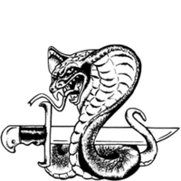 Temptu Pro Transfer Biker Dagger Snake - Трансферная татуировка 