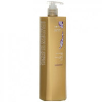 Hair Company Inimitable Colour Post Treatment Shampoo - Шампунь для волос 1000 мл