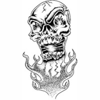 Temptu Pro Transfer Biker Flaming Skull - Трансферная татуировка 