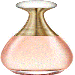 Christian Dior Jadore In Joy Women Eau de Toilett - Кристиан Диор Жадор в радость туалетная вода 100 мл