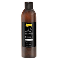 Teotema Teo Argan Shampoo - Шампунь с аргановым маслом 250 мл