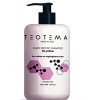 Teotema Silver Shampoo - Тонирующий серебряный шампунь 1000 мл