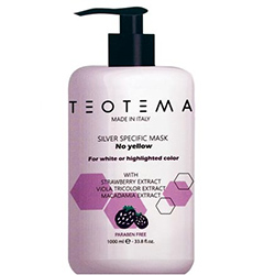 Teotema Silver Mask - Тонирующая серебряная маска 1000 мл