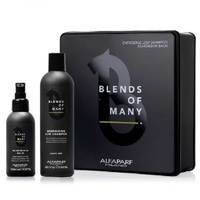 Alfaparf Bom Gift Box 2019 Blends Of Man - Подарочный набор для волос и бороды (шампунь 250 мл, несмываемый бальзам для бороды и кожи 100 мл)