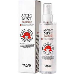 Yadah Anti - T Mist - Спрей для проблемной кожи 95 мл