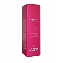Hair Company Head Wind Extra-Gloss Treatment - Маска Экстра-блеск 250 мл