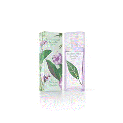 Elizabeth Arden Green Tea Exotic Women Eau de Toilette - Элизабет Арден зеленый чай экзотик туалетная вода 100 мл