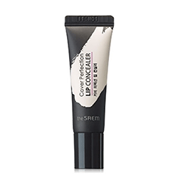 The Saem Cover Perfection Lip Concealer - Консилер для губ 9 г