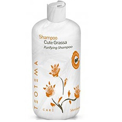 Teotema Sebum Specific Purifying Shampoo - Шампунь против жирности волос 500 мл            