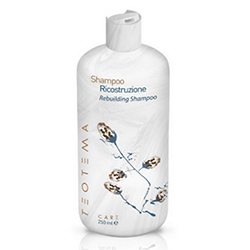 Teotema Rebuilding Shampoo - Шампунь восстанавливающий 1000 мл               