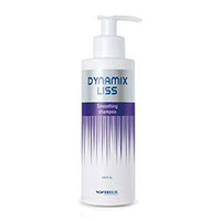 Brelil Dynamix Liss Smoothing Shampoo - Разглаживающий шампунь 250 мл