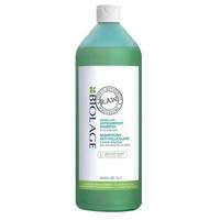 Matrix Biolage R.A.W Antindandruff Shampoo - Шампунь против перхоти 1000 мл