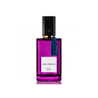 Diana Vreeland Simply Divine Eau de Parfum - Диана Вриланд совершенно изумительный парфюмированная вода 50 мл