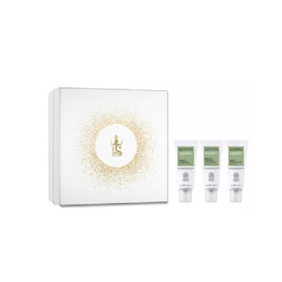 Sothys Organics Box - Набор подарочный "Очищение и питание" (скраб для лица 50 мл, увлажняющая восстанавливающая эмульсия 50 мл, увлажняющая маска 50 мл)