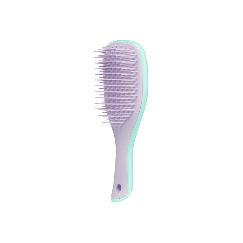 Tangle Teezer The Wet Detangler Mini Wisteria Leaf - Расческа для волос мини (салатовый/сиреневый)