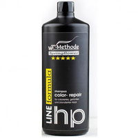 WT-Methode Color Repair Shampoo - Шампунь для окрашенных, тонированных и осветленных волос 1000 мл