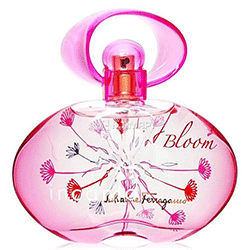 Salvatore Ferragamo Incanto Bloom Women Eau de Toilette New Еdition 2014 - Сальваторе Феррагамо инканто блум туалетная вода 30 мл