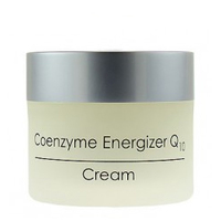 Holy Land Q10 Coenzyme Energizer Cream - Крем питательный для лица 250 мл