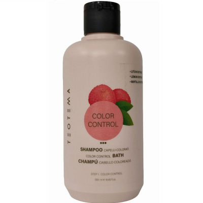 Teotema Color Control Shampoo - Шампунь для окрашенных волос 250 мл            