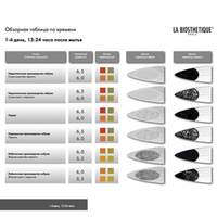 La Biosthetique Scalp Check Indicators Result Table - Проверочная таблица 1 шт