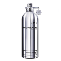 Montale Fougeres Marine Eau de Parfum - Парфюмерная вода 100 мл (Тестер)